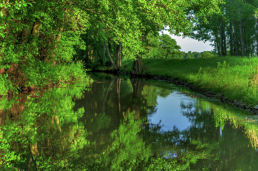 Late afternoon in the Spreewald Photograph by Sun Travels