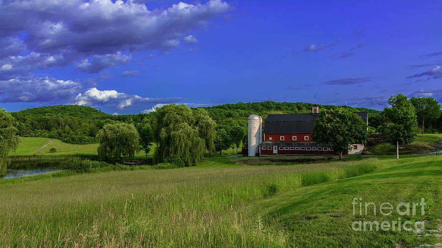 Late afternoon on the farm. Photograph by Scenic Vermont Photography