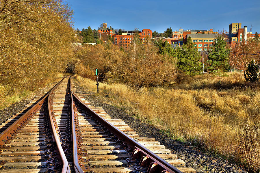 Late Autumn in Pullman Photograph by David Patterson