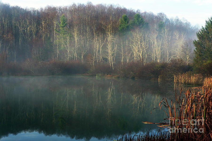 Late Autumn Mist on Lake Photograph by Thomas R Fletcher