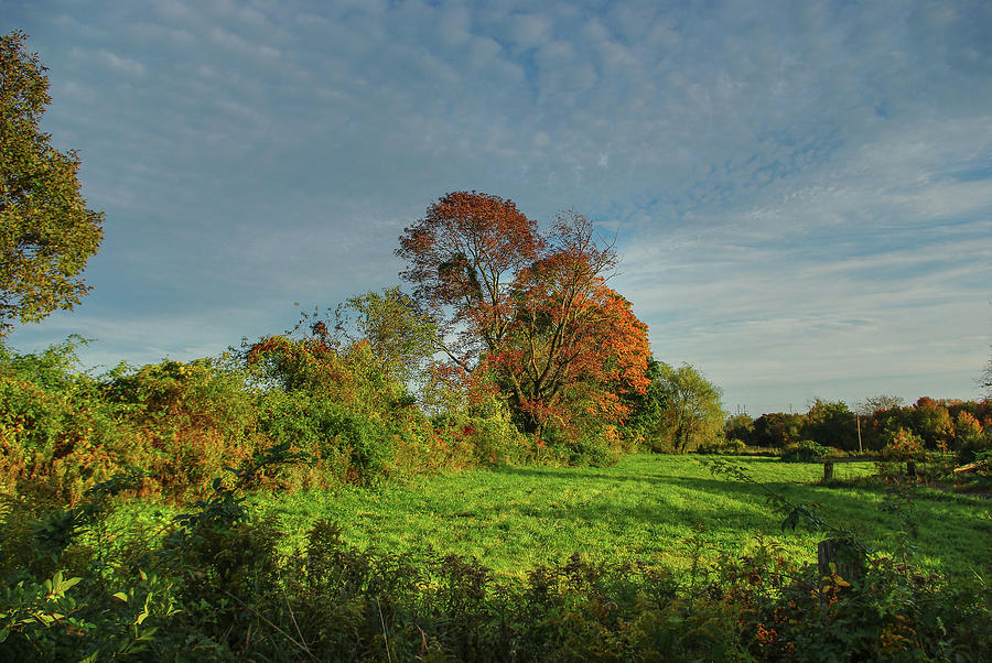 Late Day Pasture Autumn Views Photograph