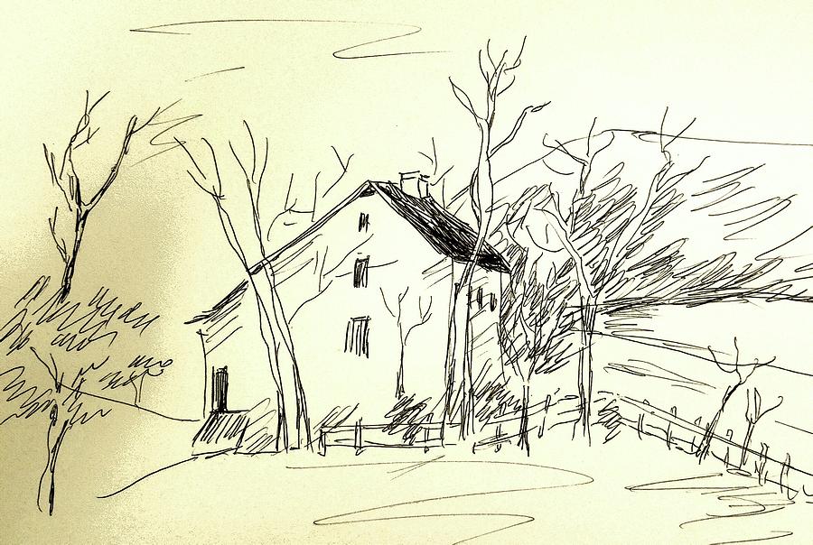 Tree Drawing - Late fall by Hae Kim