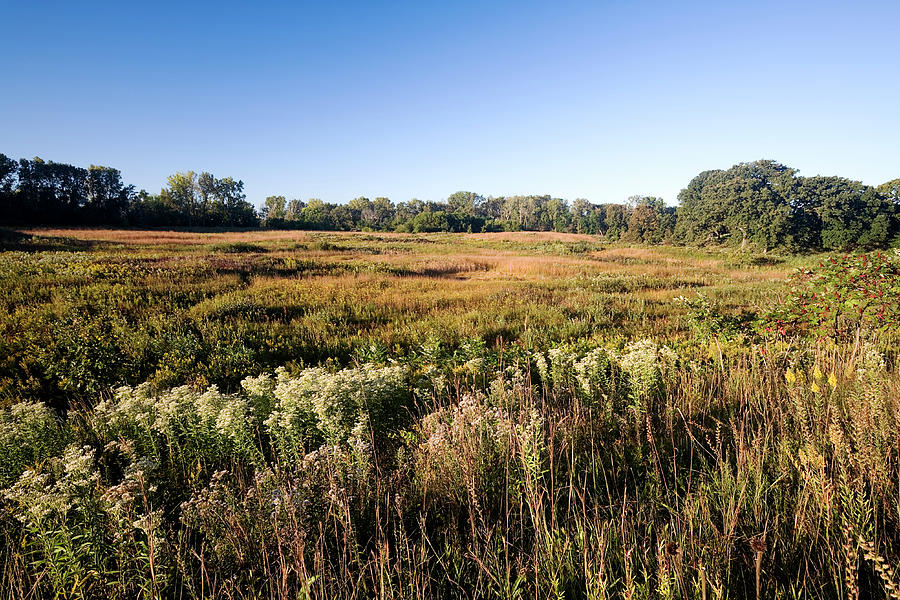 Late Summer At The  Fen Photograph by Stevegeer