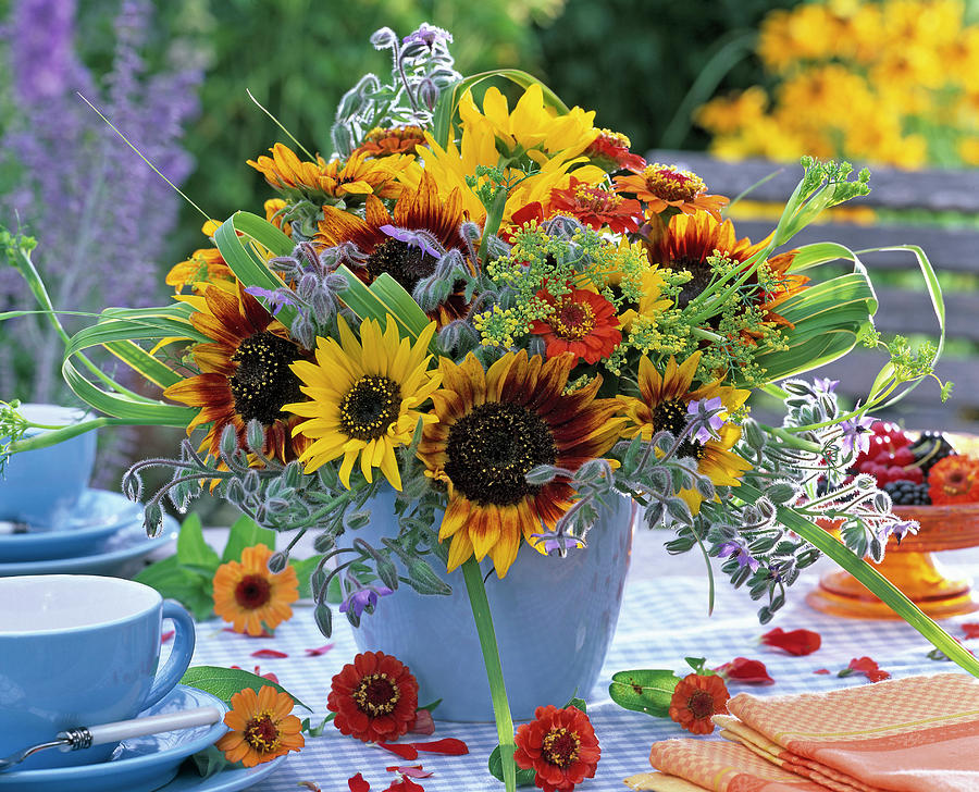 Late Summer Bouquet With Helianthus, Borago Photograph by Friedrich Strauss