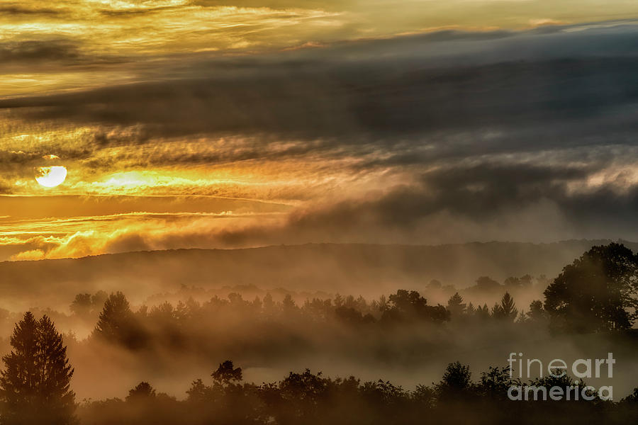 Late Summer Misty Sunrise Photograph by Thomas R Fletcher
