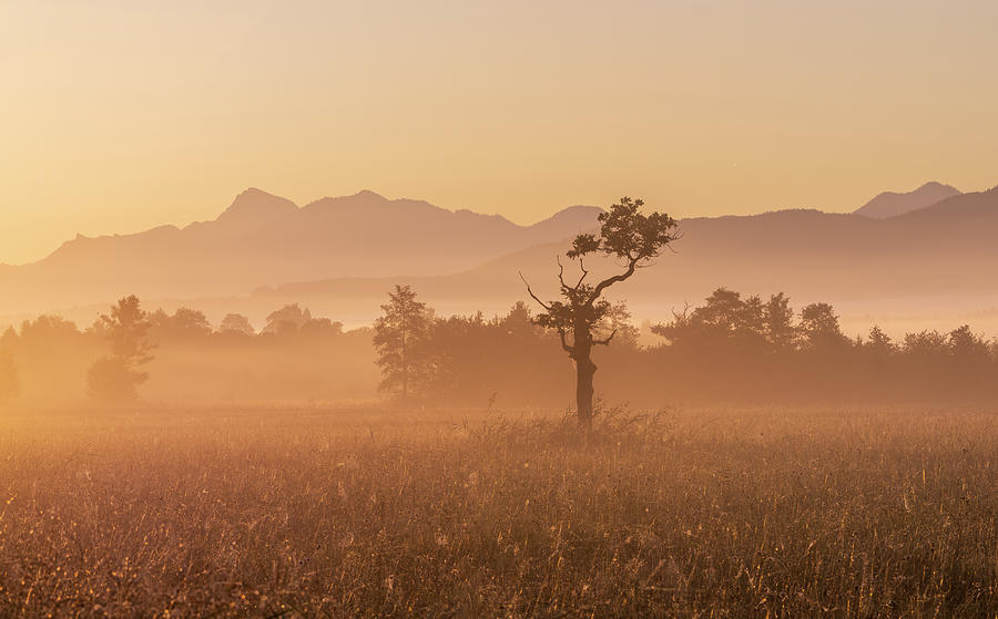 Mountain Photograph - Late Summer Morning In The Marsh by Norbert Maier