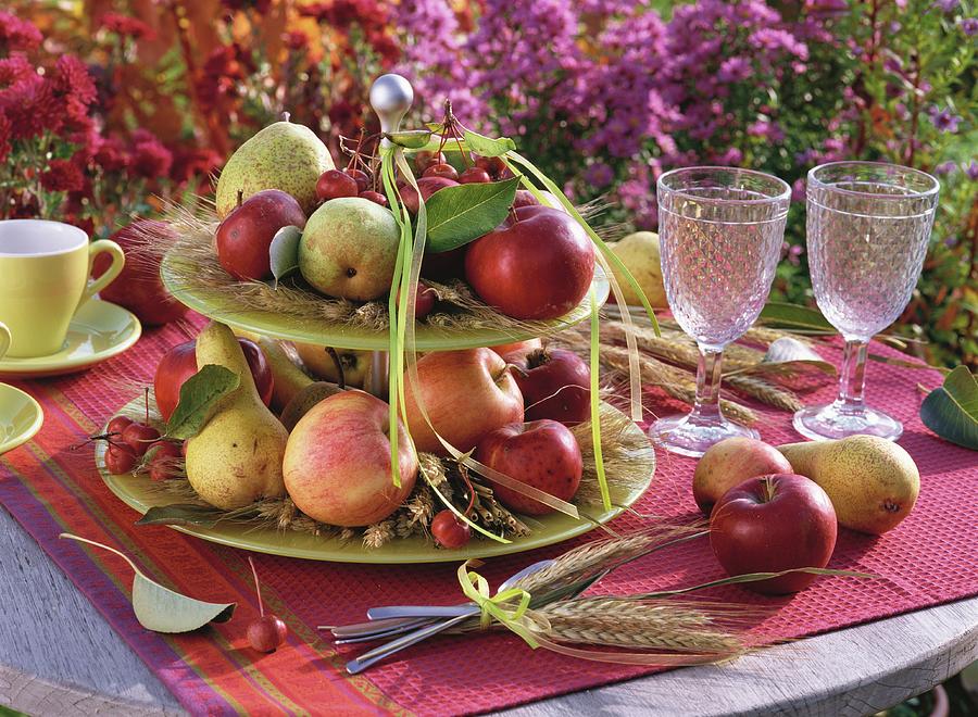 Late Summer Table Decoration With Apples, Pears & Cereal Ears Photograph by Strauss, Friedrich