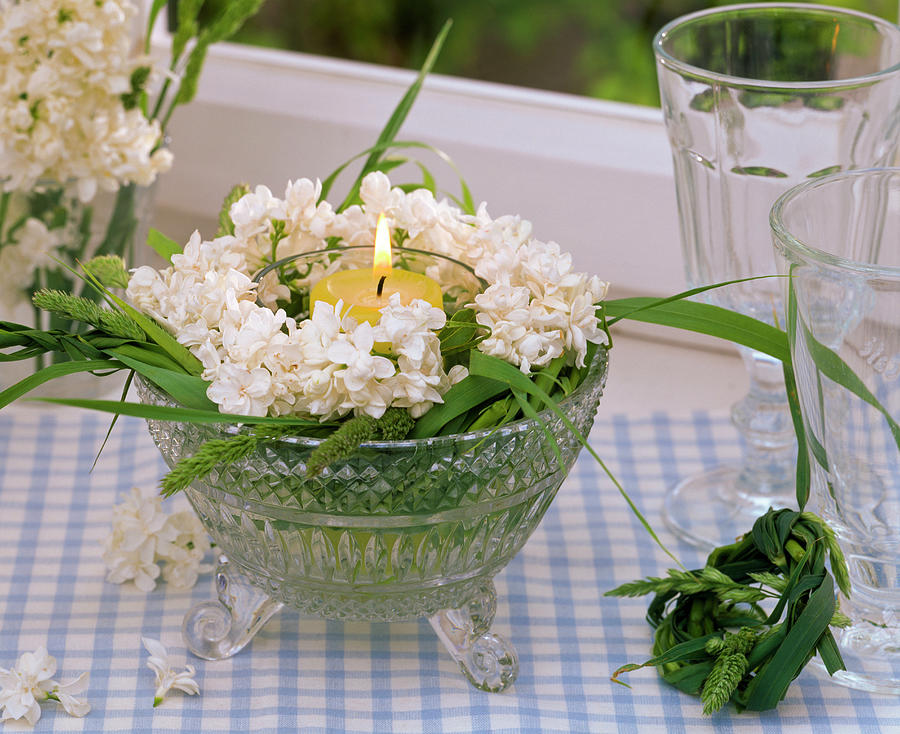 Latern With Syringa And Grasses Wreath In Glass Bowl Photograph by Friedrich Strauss