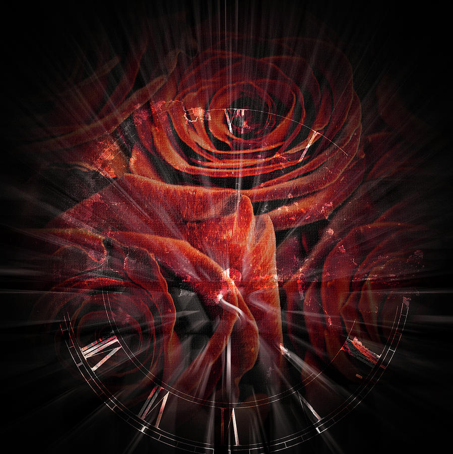 Latin Roses Digital Art by Bruce Rolff
