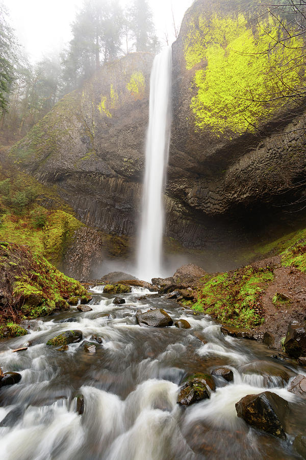 Latourell Falls Photograph by Brian Knott Photography - Fine Art America