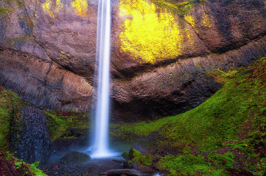 Latourell Falls by Dee Browning Latourell Falls by Dee Browning