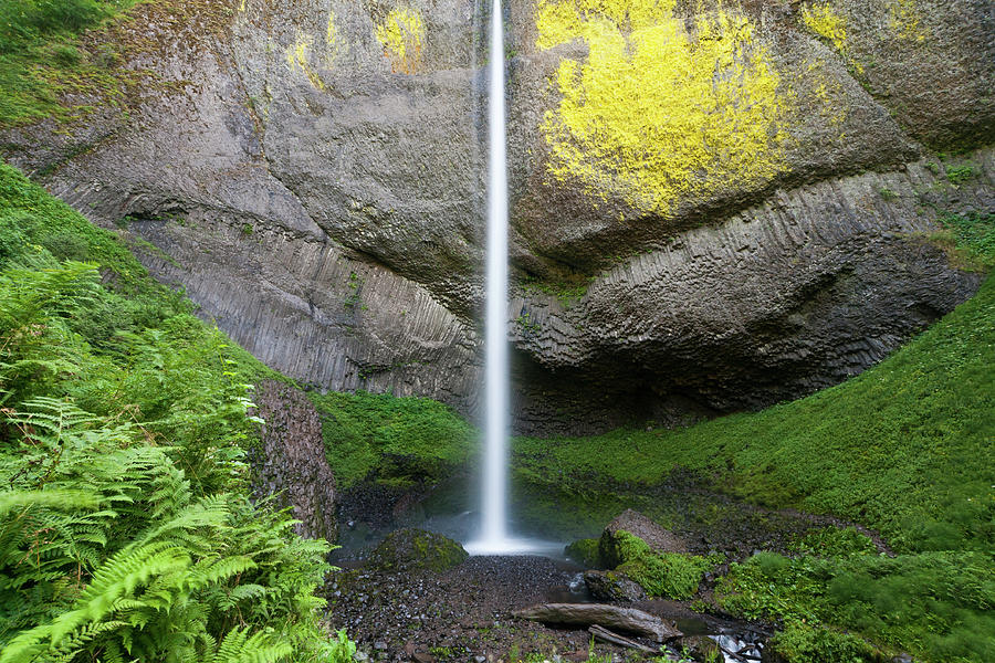 Latourell Falls In Columbia River Gorge Photograph by Scott R Larsen