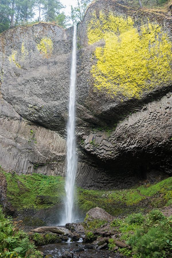 Latourell Falls, Oregon by Michelle McConnell Latourell Falls, Oregon by Michelle McConnell