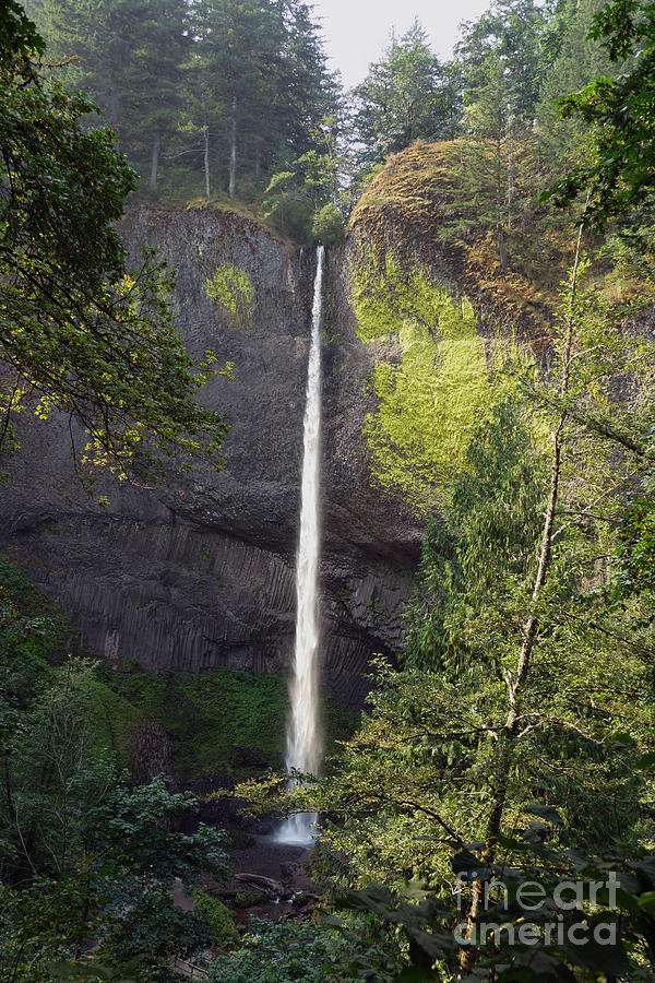 Latournell Falls, Oregon Photograph by Catherine Sherman