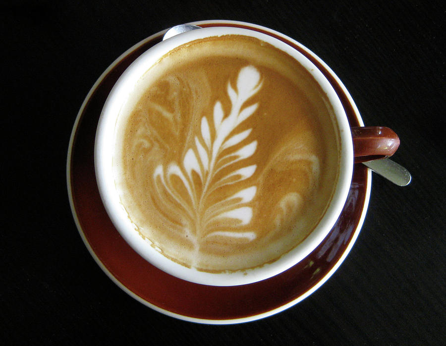 Latte Photograph by Lori Greig