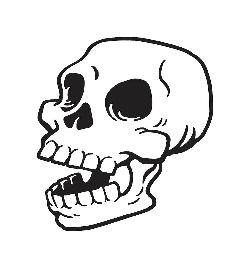 Human Skull Drawing. Head Bones Artistic Graphic by vectortatu · Creative  Fabrica
