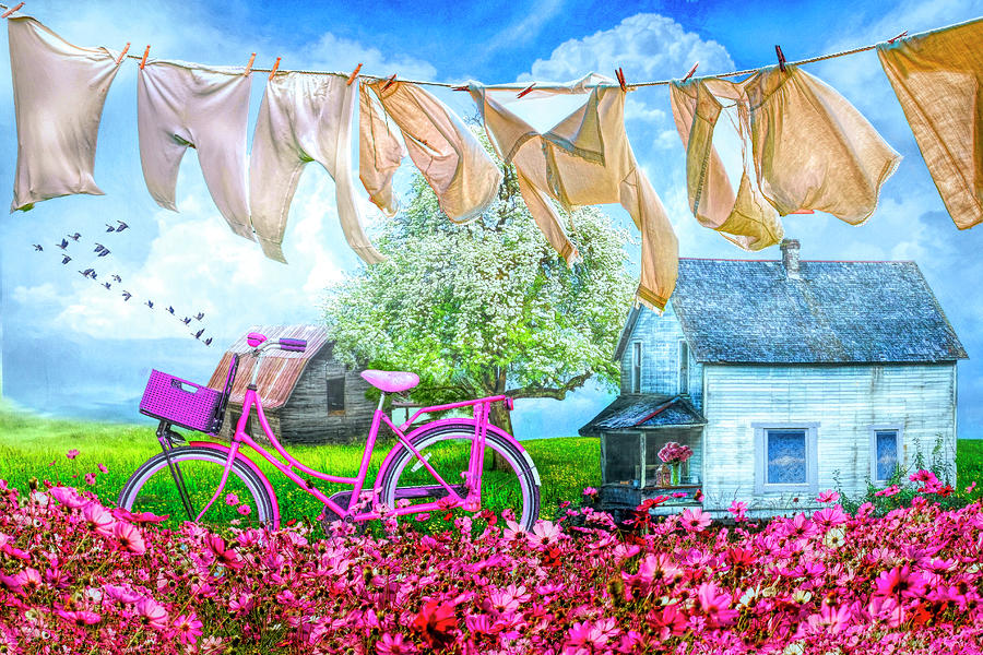 Laundry Day Digital Art by Debra and Dave Vanderlaan