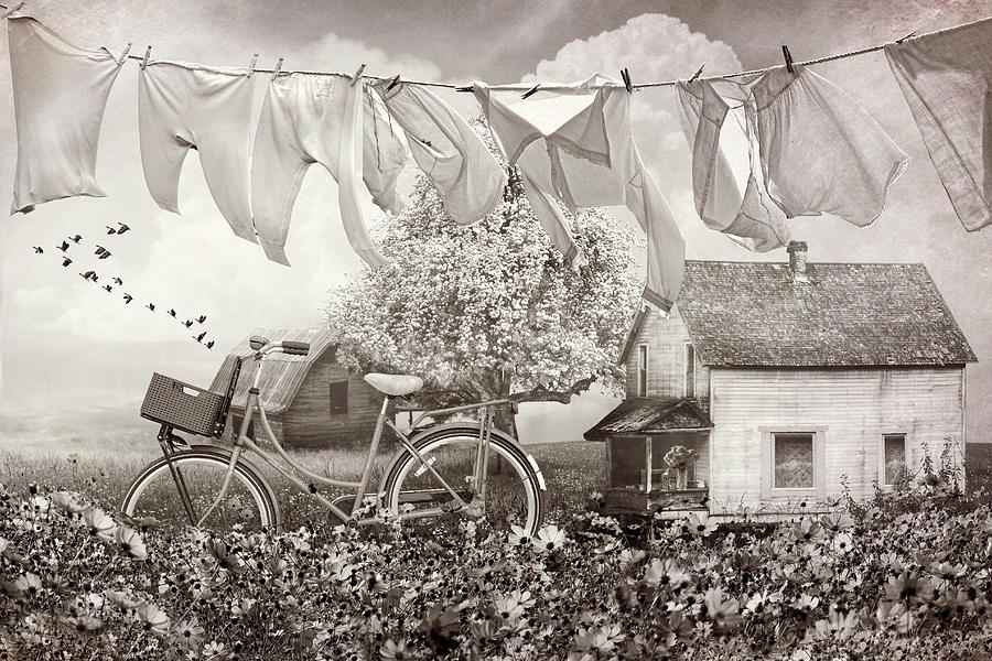 Laundry Day in Vintage Sepia Digital Art by Debra and Dave Vanderlaan