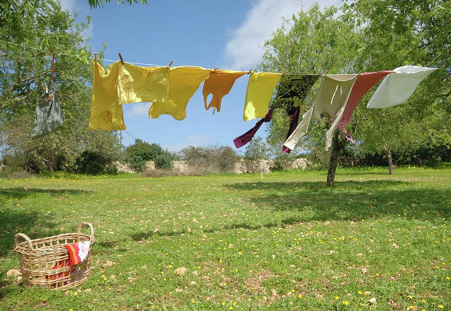 Laundry Hung On Washing Line In Sunny Garden Photograph by Twins