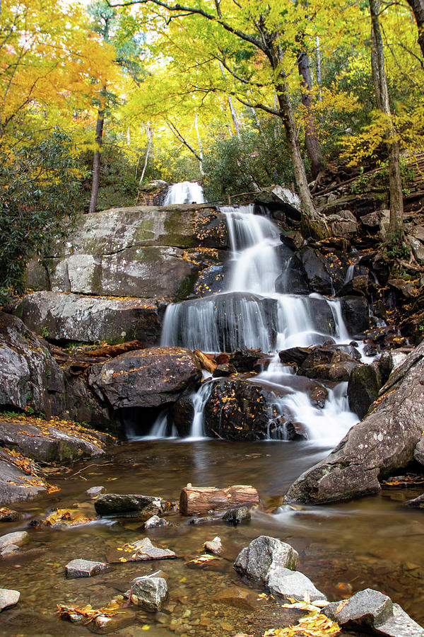 Laurel Falls Photograph by Shari Pederson - Fine Art America