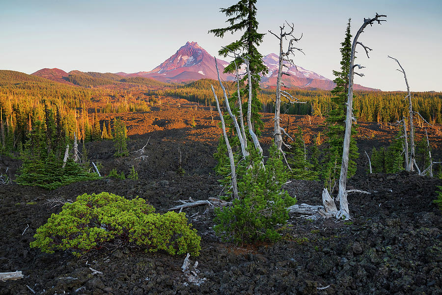Lava Field Landscape Digital Art by Heeb Photos