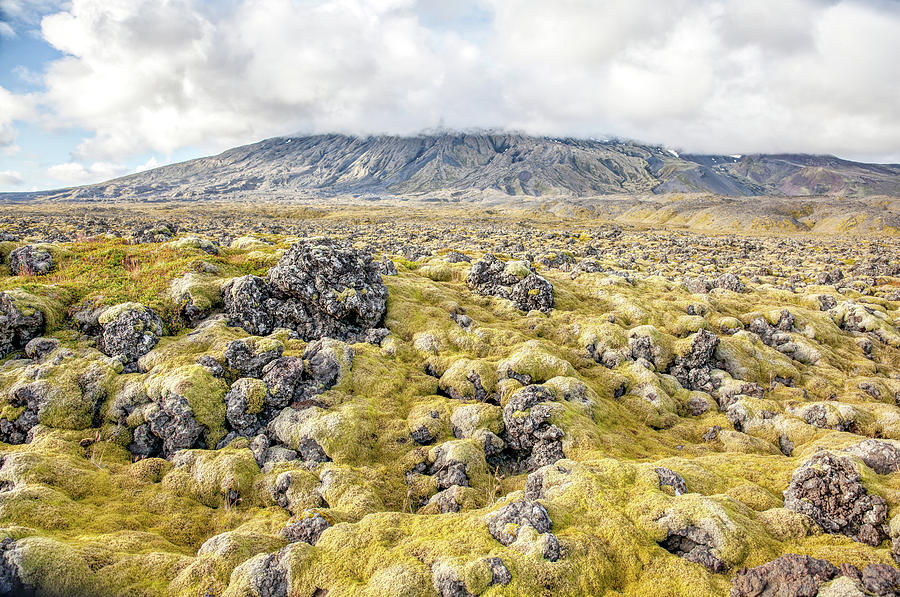 Lava Fields of Iceland Photograph by David Letts