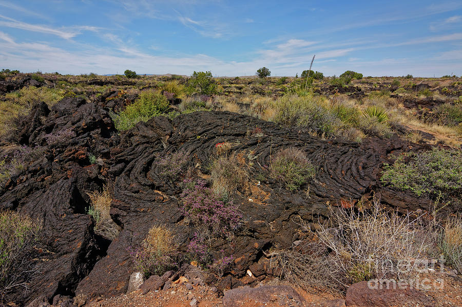 Lava Swirl Patterns - 8917 Photograph by Marvin Reinhart - Fine Art America