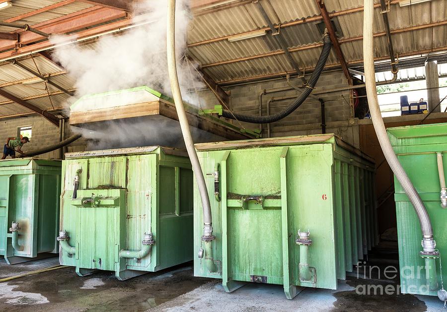Lavandin Lavender Steam Processing Photograph by Martyn F. Chillmaid/science Photo Library