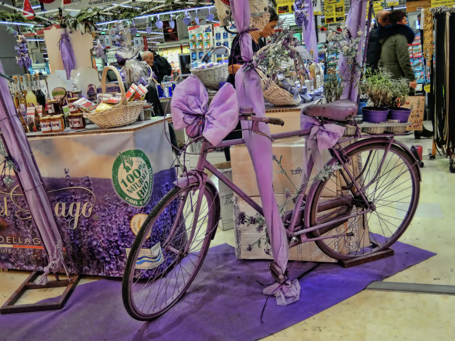 Nature Photograph - Lavender bike by Guido Strambio