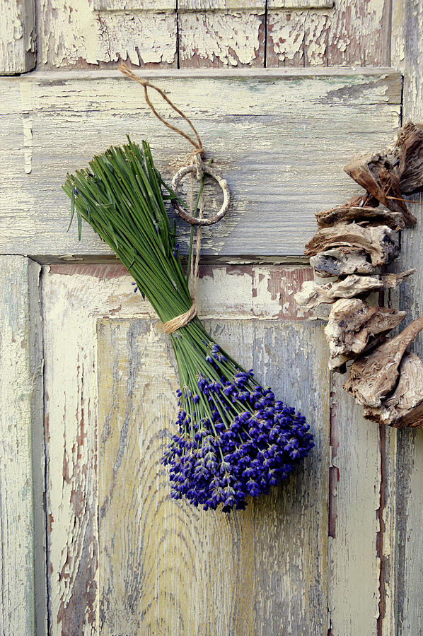 Lavender - Bouquet Hung To Dry On Door Photograph by Christin By Hof 9
