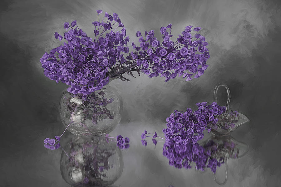 Lavender Photograph - Lavender Dream by Lydia Jacobs