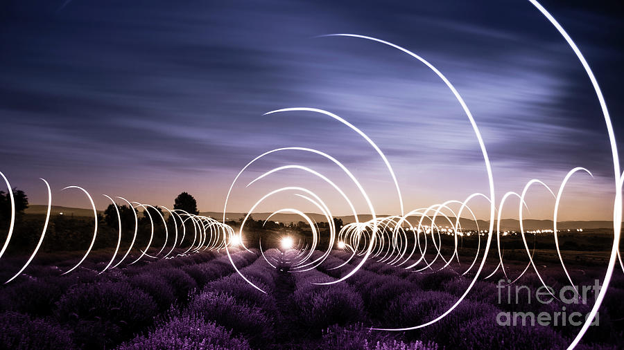Lavender Field At Night Photograph by Toni Marinov