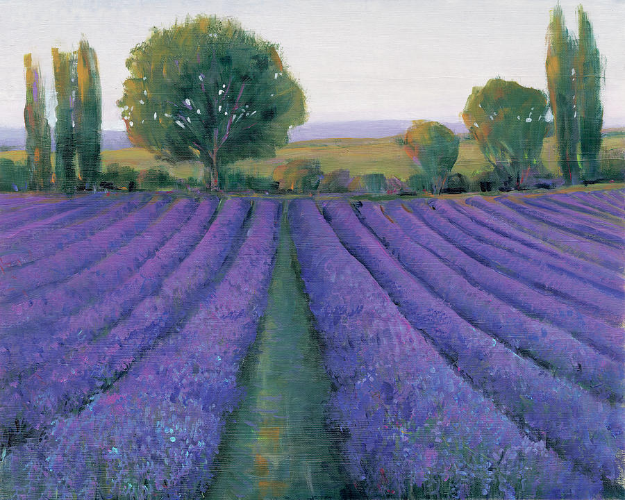 Landscape Painting - Lavender Field II by Tim Otoole