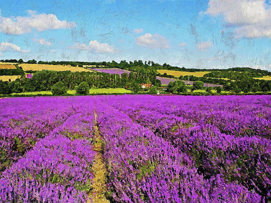 Lavender fields - 01 Painting by AM FineArtPrints