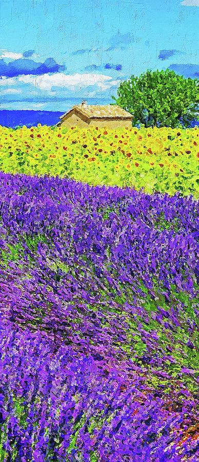 Lavender fields - 04 Painting by AM FineArtPrints