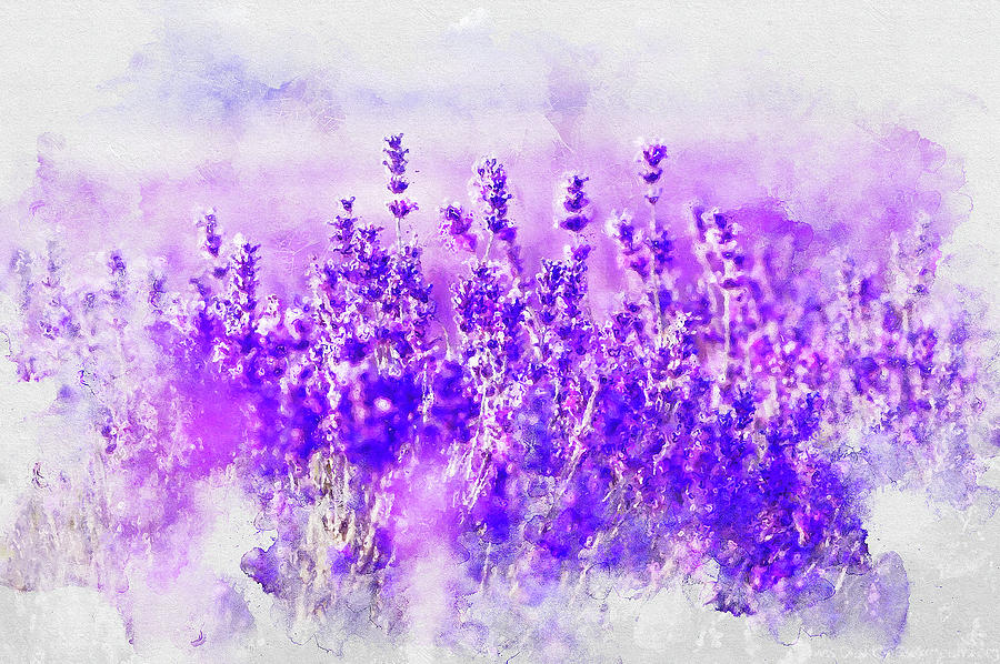 Lavender fields - 06 Painting by AM FineArtPrints
