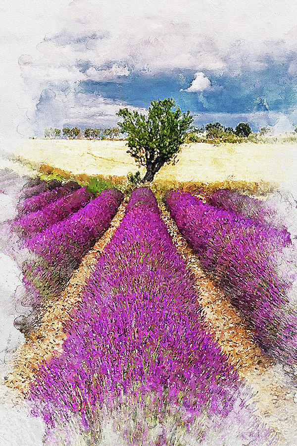 Lavender fields - 07 Painting by AM FineArtPrints