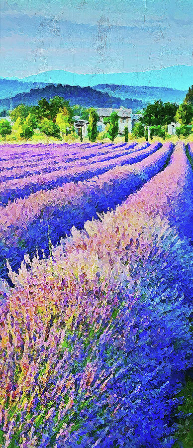 Lavender fields - 08 Painting by AM FineArtPrints