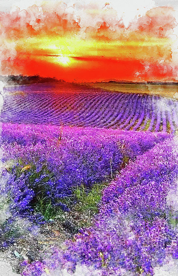Lavender fields - 11 Painting by AM FineArtPrints