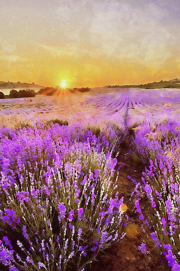 Lavender fields - 17 Painting by AM FineArtPrints