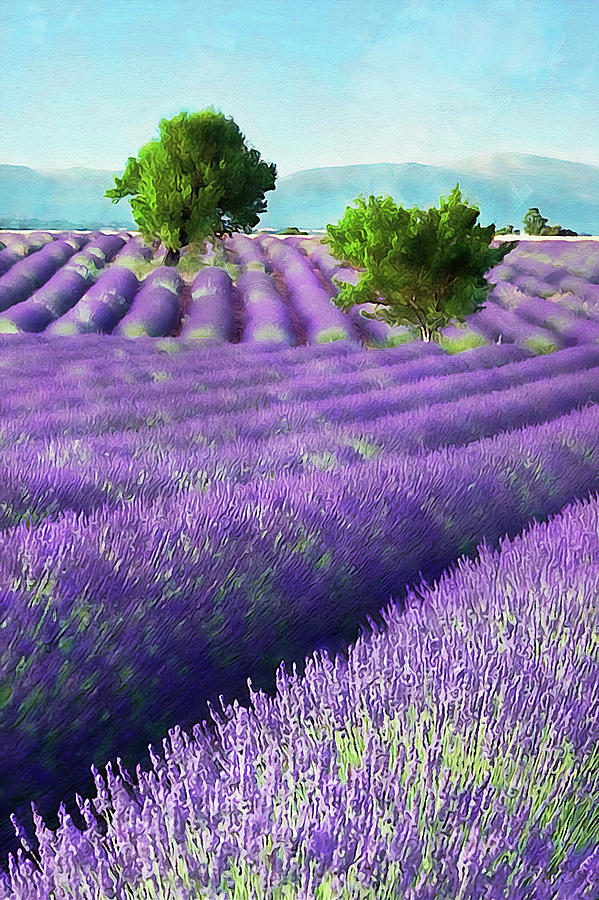 Lavender fields - 20 Painting by AM FineArtPrints