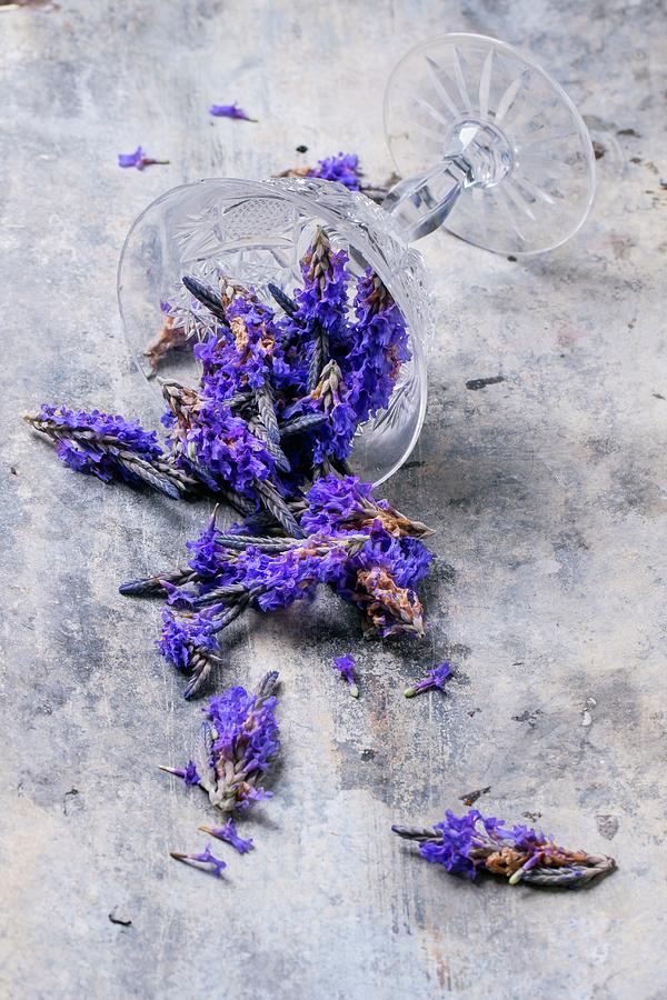 Lavender Flowers Falling From An Overturned Glass Photograph by Natasha Breen