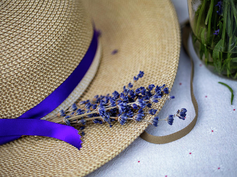 Lavender Hat Photograph by Rebecca Cozart