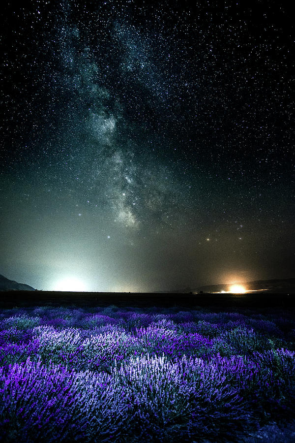 Lavender Milky Way by Bryan Carter Lavender Milky Way by Bryan Carter