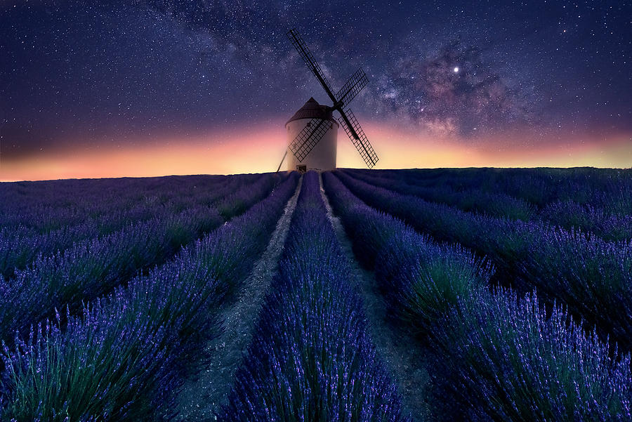 Lavender Night Photograph by Jose Antonio Trivio Sanchez