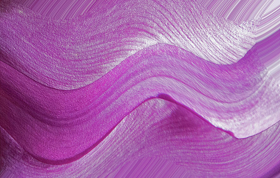 Lavender Swirls Photograph