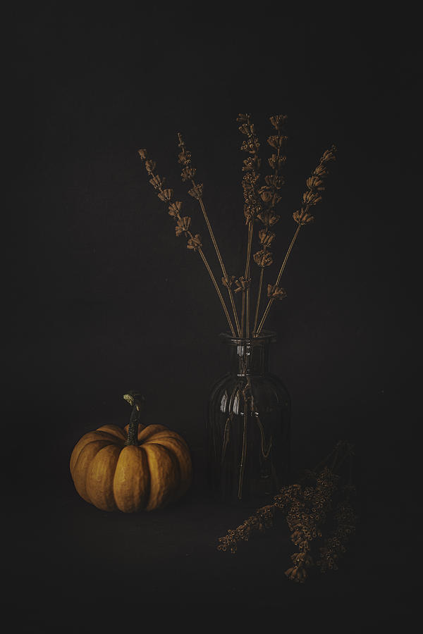 Pumpkin Photograph - Lavenders And The Pumpkin by iek K?ral