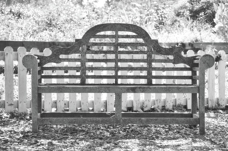 Lawn Seat Photograph by JAMART Photography