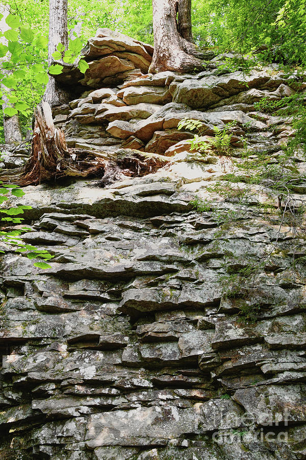 Layered Rock Wall Photograph by Phil Perkins
