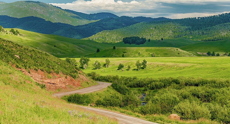 Layers of a Montana Landscape Photograph by Marcy Wielfaert